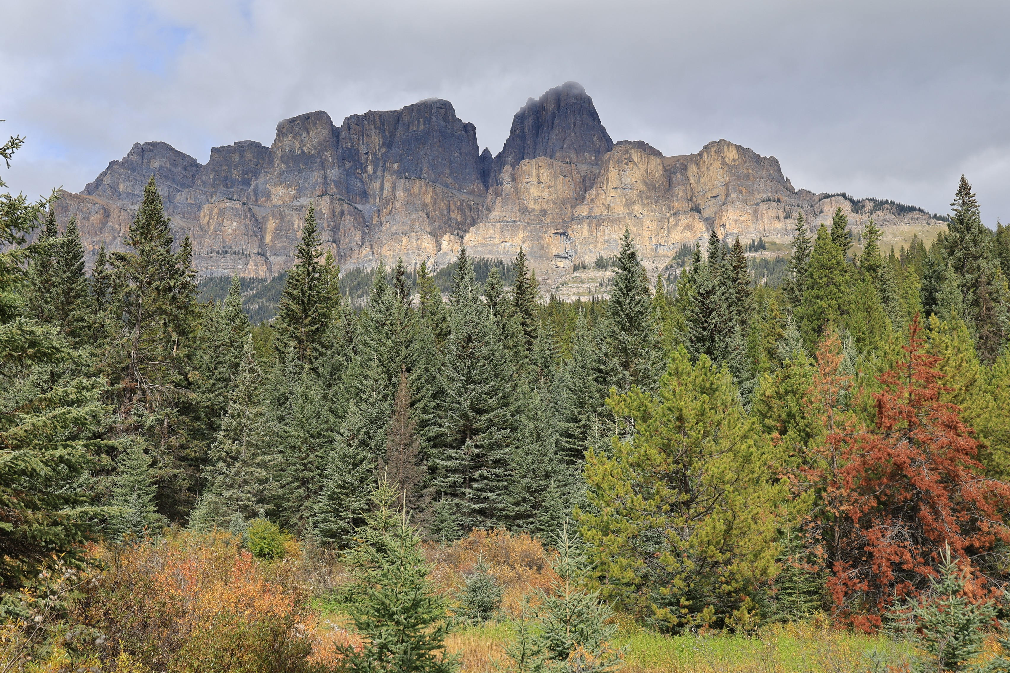 NP Banff